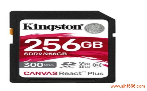 存储卡数据恢复:如何应对存储卡无法格式化? 存储卡数据恢复